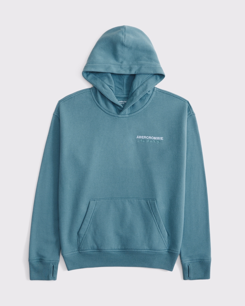 logo popover hoodie